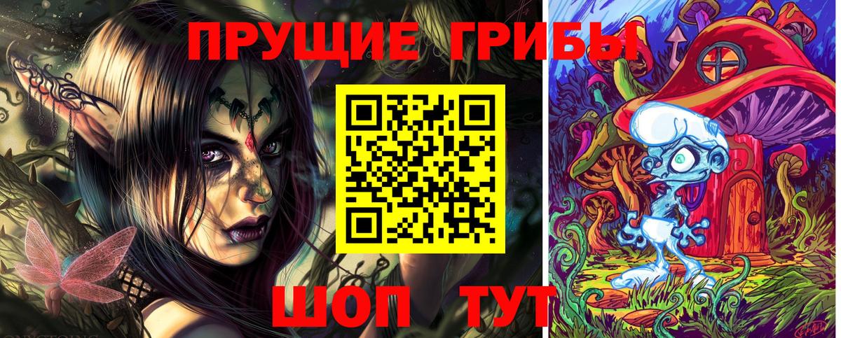 сколько стоит  Псилоцибиновые грибы GOLDEN TEACHER  Вход с VPN  Воронеж 